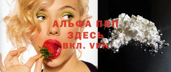 стаф Горнозаводск