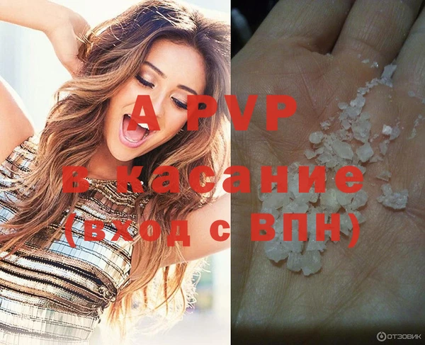 дживик Горняк