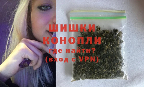 дживик Горняк