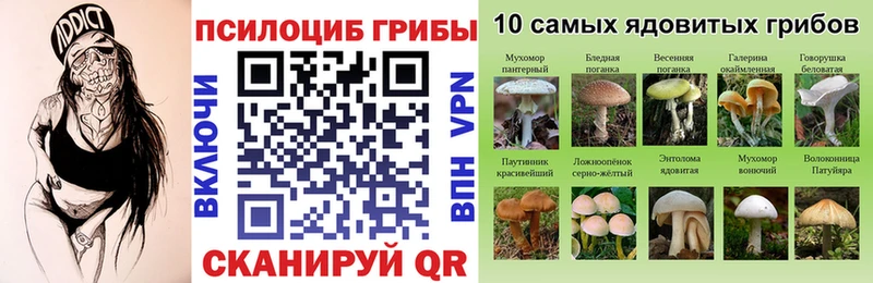 Галлюциногенные грибы GOLDEN TEACHER  где купить наркоту  Медногорск 
