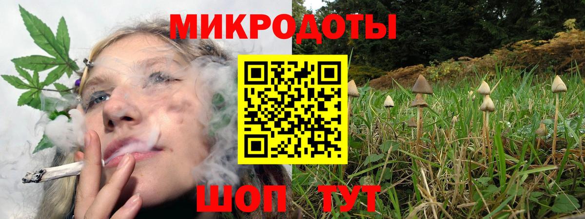 Галлюциногенные грибы MAGIC MUSHROOMS  Вход с VPN  Медногорск 