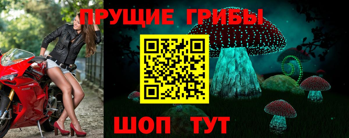 Галлюциногенные грибы Cubensis  Медногорск 